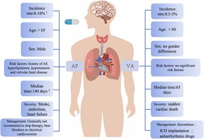 Epidemiology, clinical characteristics and potential mechanism of ibrutinib-induced ventricular arrhythmias